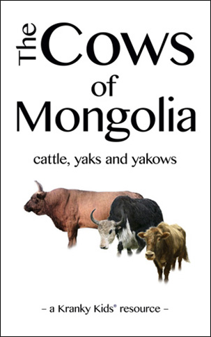 The Cows of Mongolia